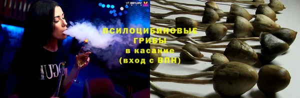 гидра Белоозёрский