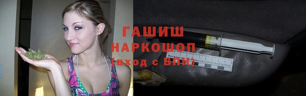 молекула духа Богородицк