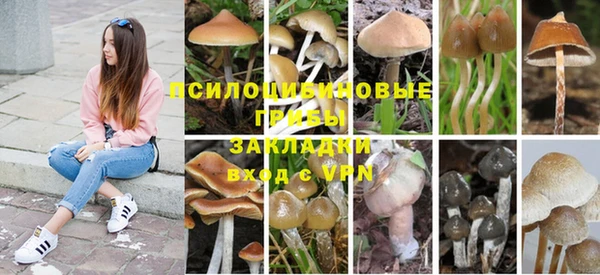 скорость Белокуриха