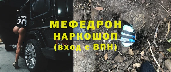 молекула духа Богородицк