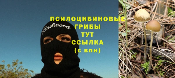 скорость Белокуриха