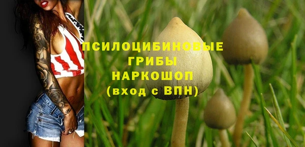 гидра Белоозёрский